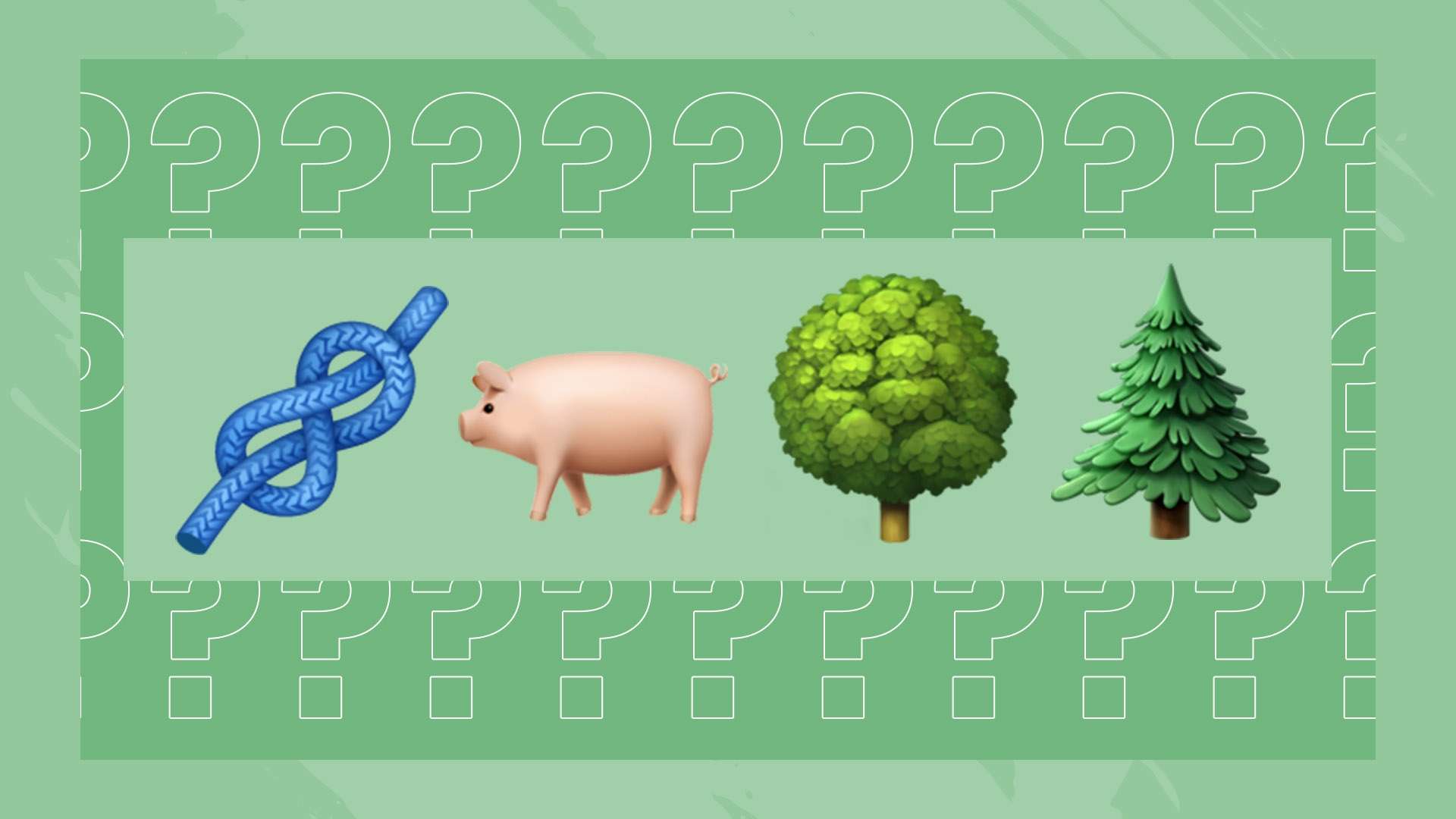 也为他争取 也为他争取